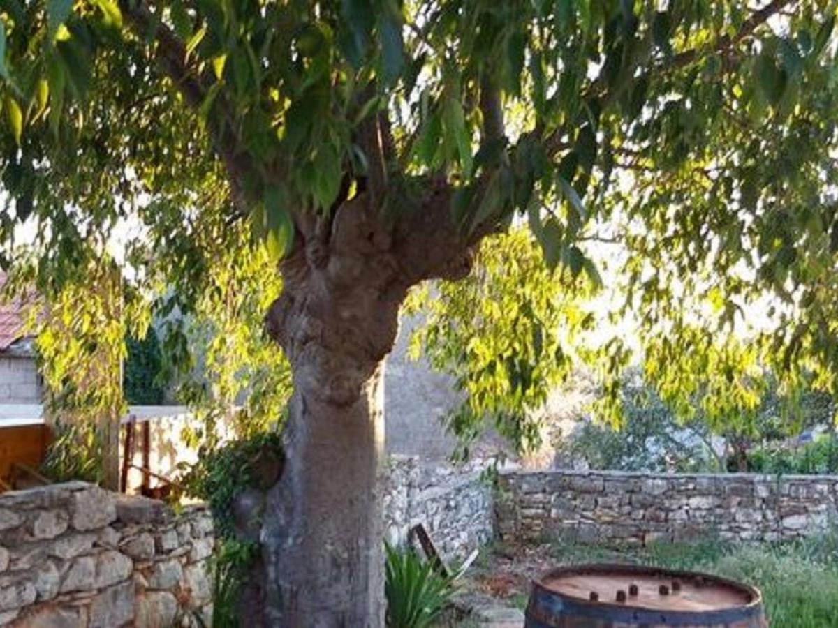 Chic Holiday Home In Marina With Private Swimming Pool Εξωτερικό φωτογραφία